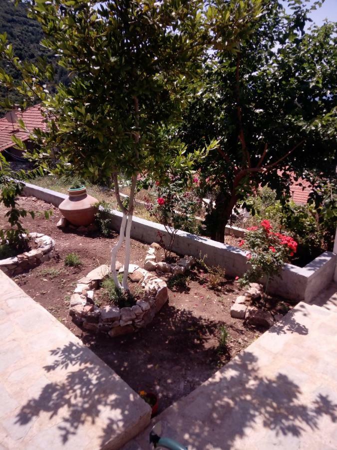 Dimitra'S Garden Villa Kallirákhi Εξωτερικό φωτογραφία