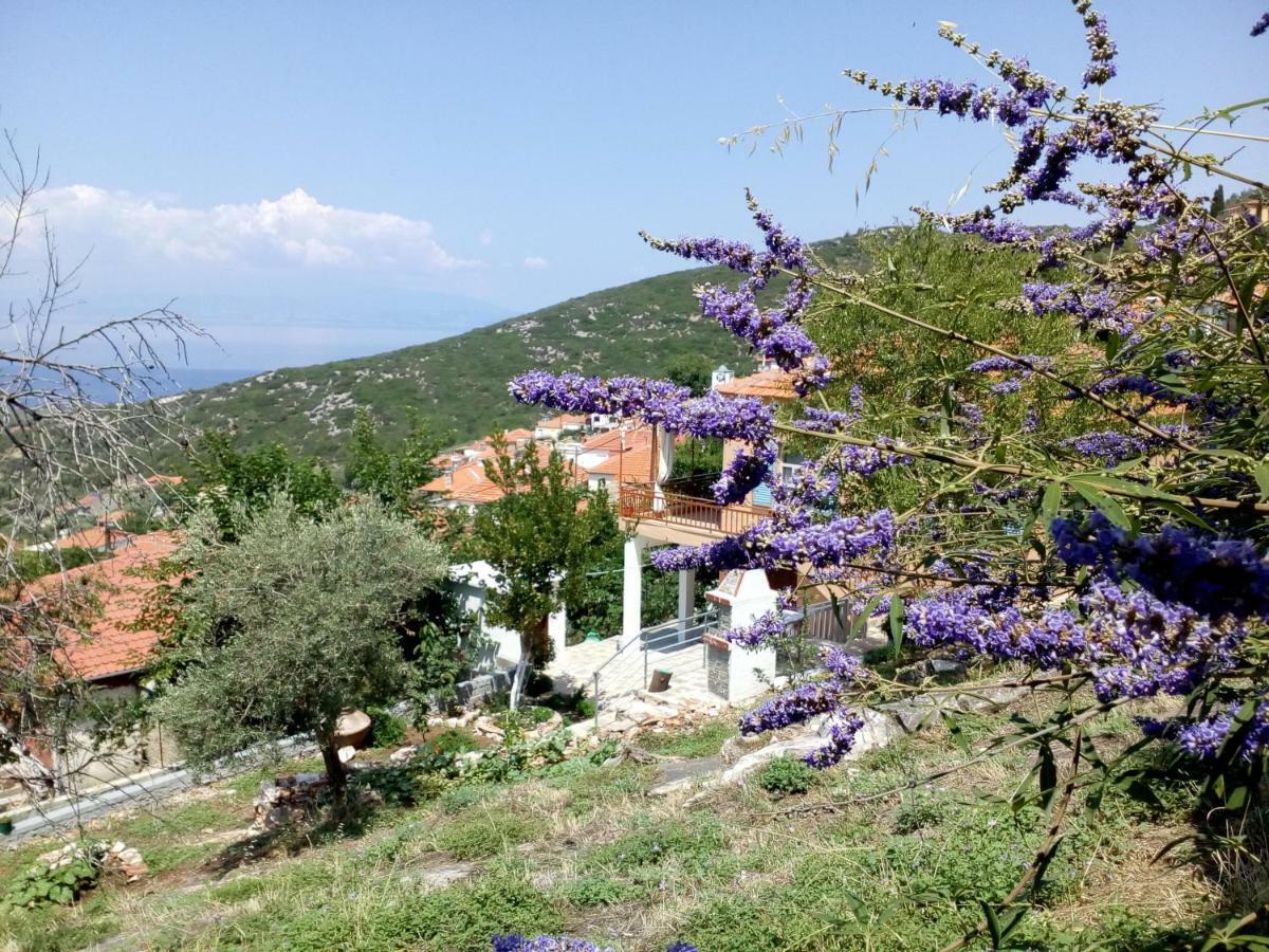 Dimitra'S Garden Villa Kallirákhi Εξωτερικό φωτογραφία