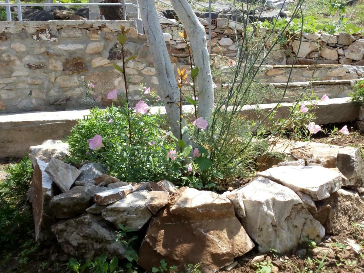 Dimitra'S Garden Villa Kallirákhi Εξωτερικό φωτογραφία
